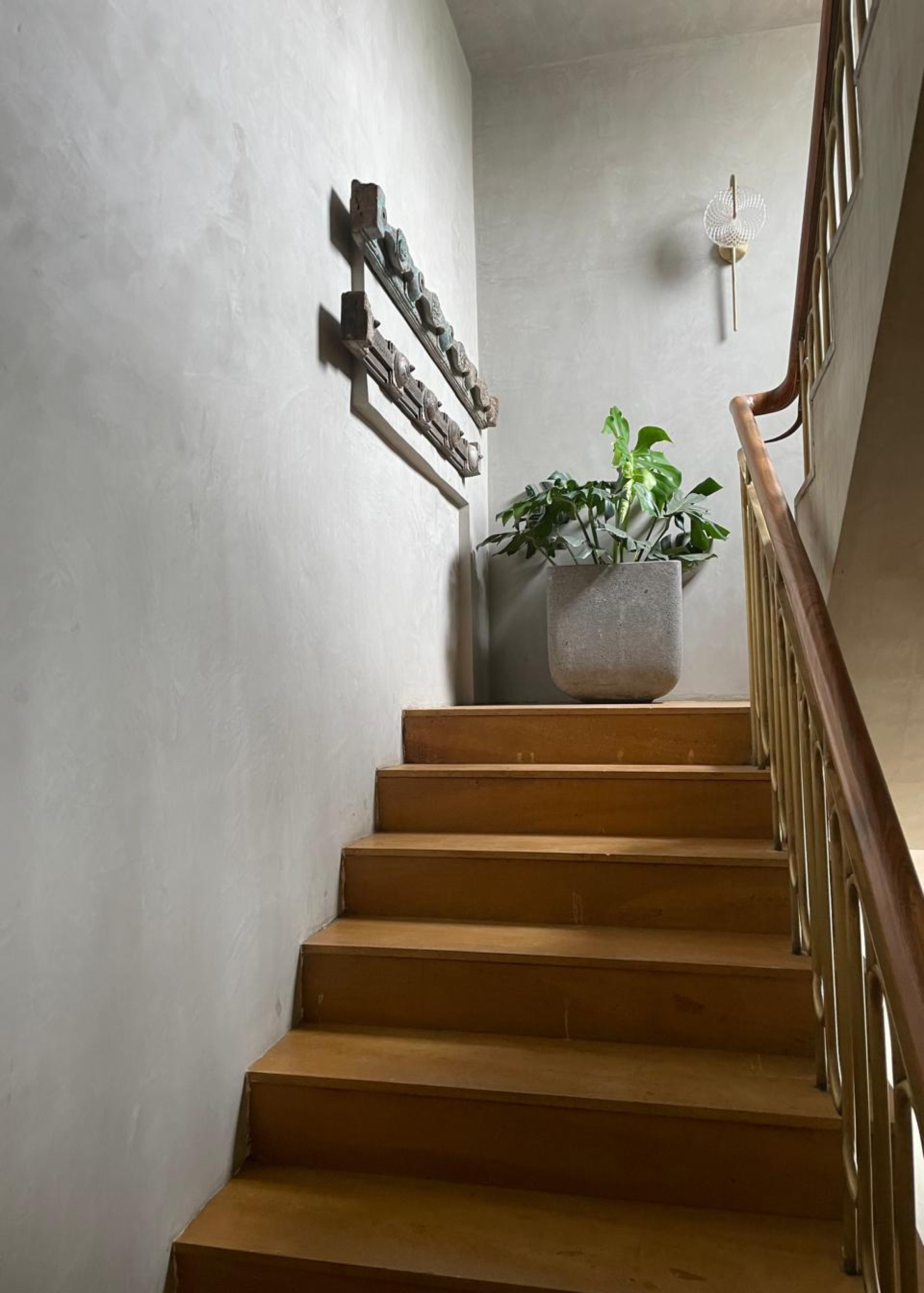 Professional wall plaster application